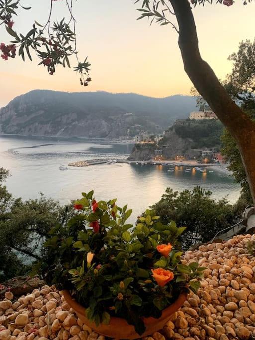 Historic Downtown Home By The Sea With King Bed Monterosso al Mare Exteriér fotografie