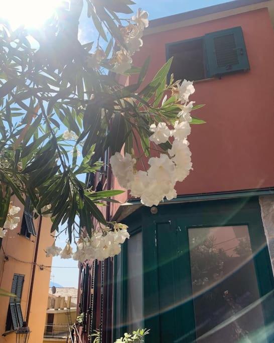 Historic Downtown Home By The Sea With King Bed Monterosso al Mare Exteriér fotografie